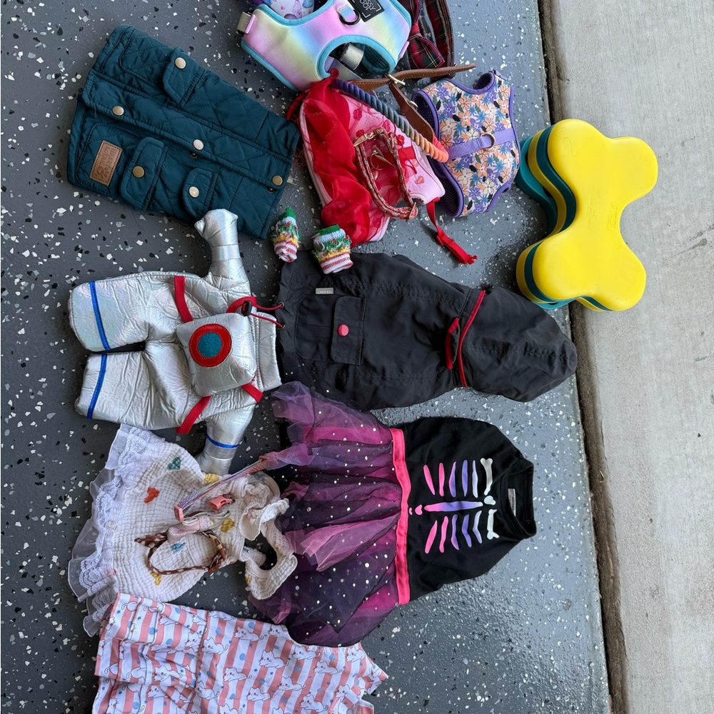 Colorful Dog Apparel Collection